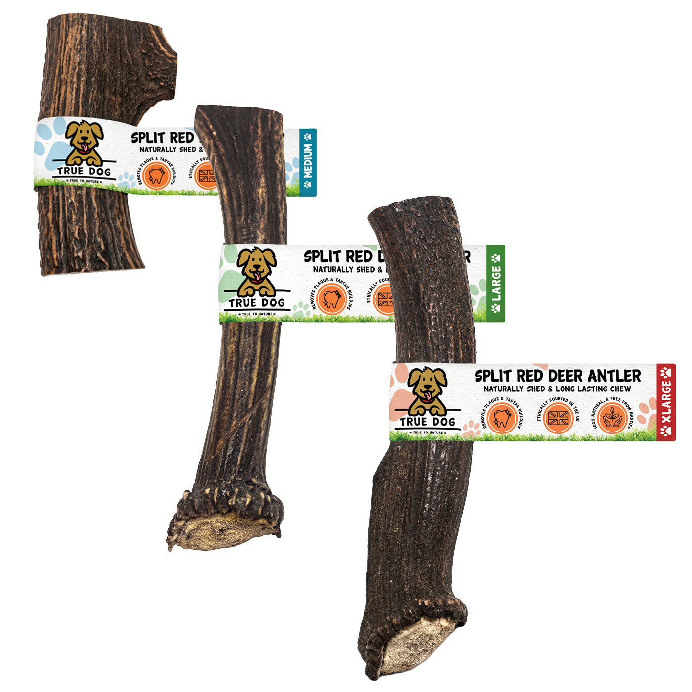 RF - DEER Dog gutter with deer antlers | A natural, safe and healthy treat for your dog | Available in different variants | size XL, 17-19 cm | HARD version | 5 pieces RF - DEER Dog gutter with deer antlers | A natural, safe and healthy treat for your dog | Available in different variants | size XL, 17-19 cm | HARD version | 5 pieces