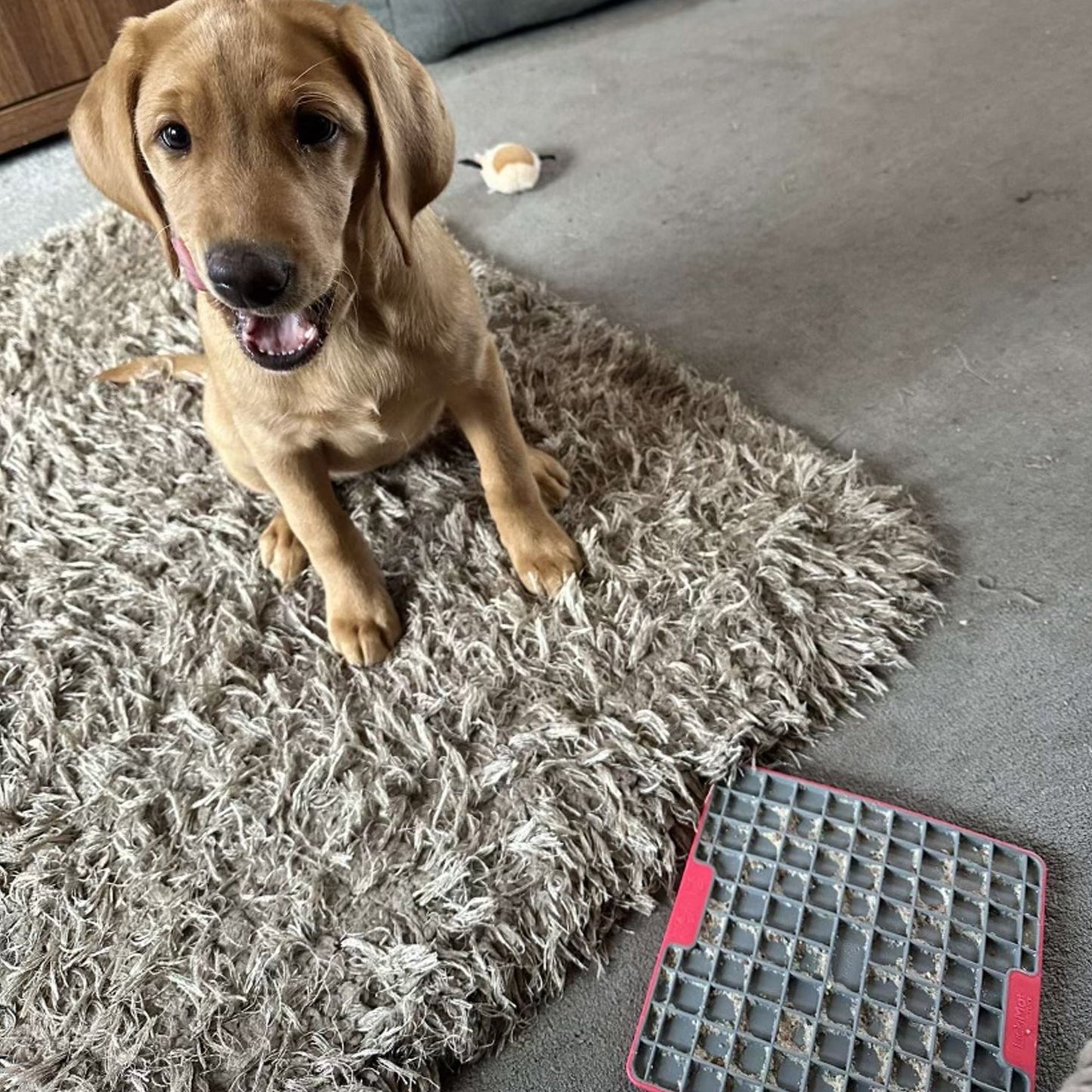 Supernature X LickiMat® Pork Lickeez For Dogs 100g