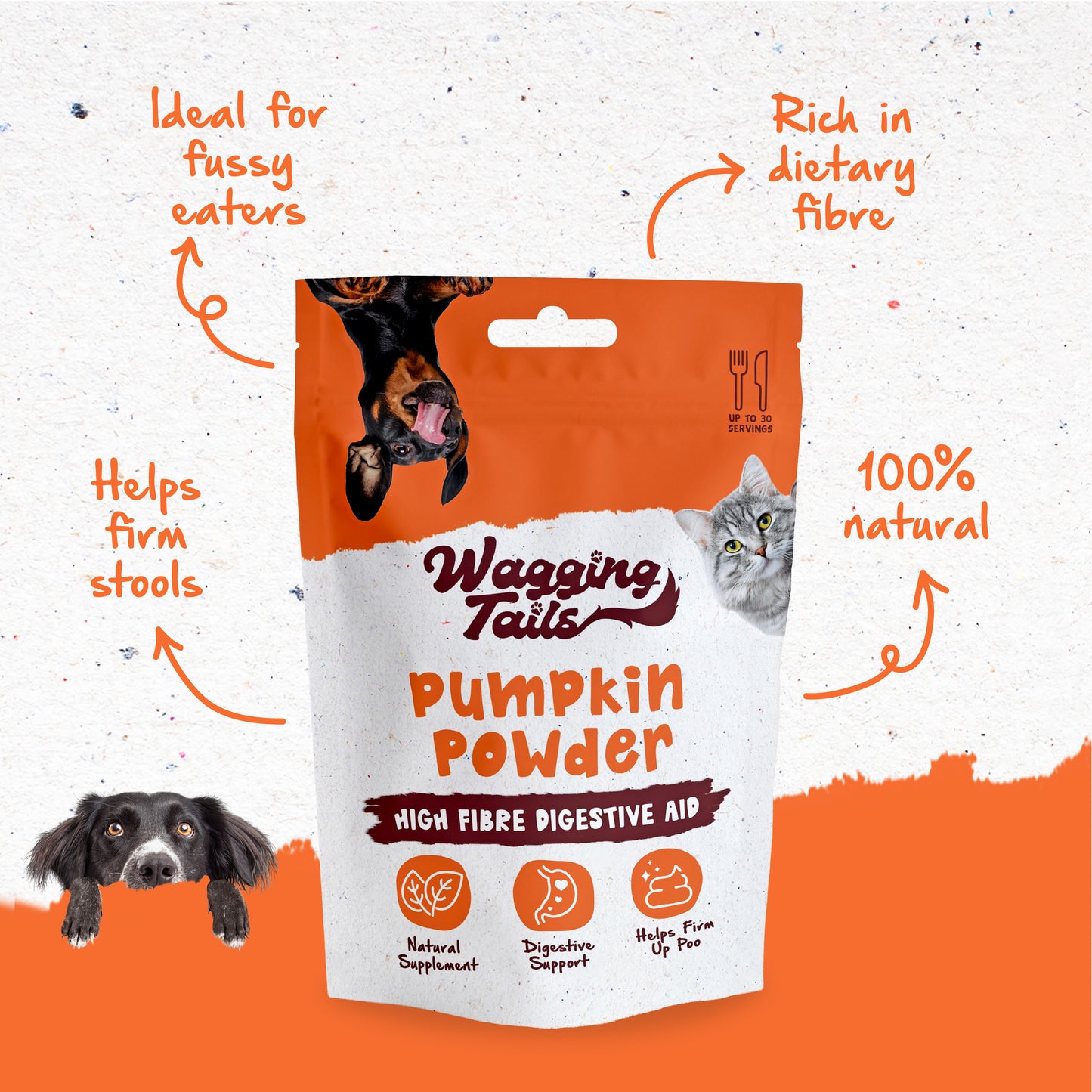 Wagging Tails Pumpkin Powder 250g