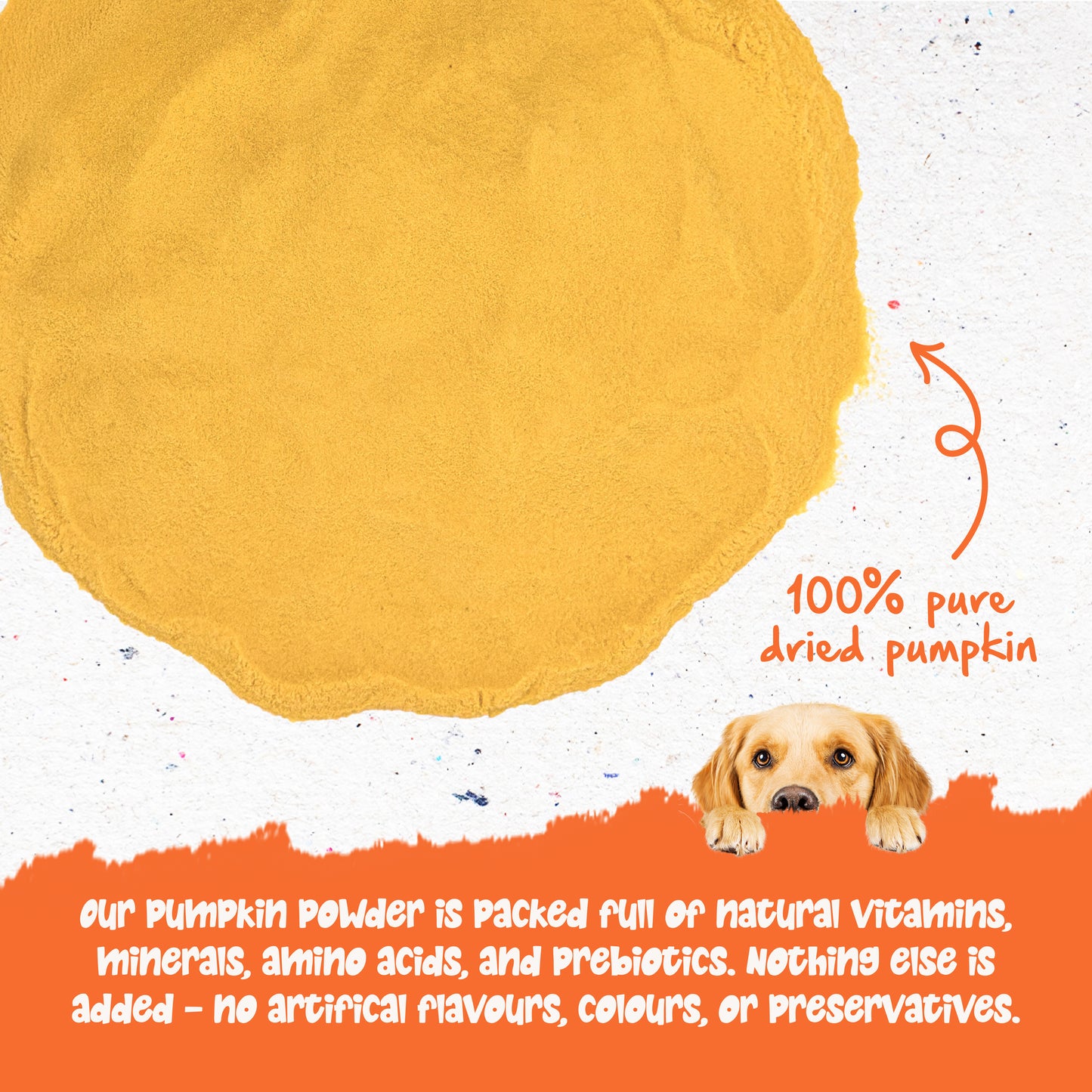 Wagging Tails Pumpkin Powder 250g