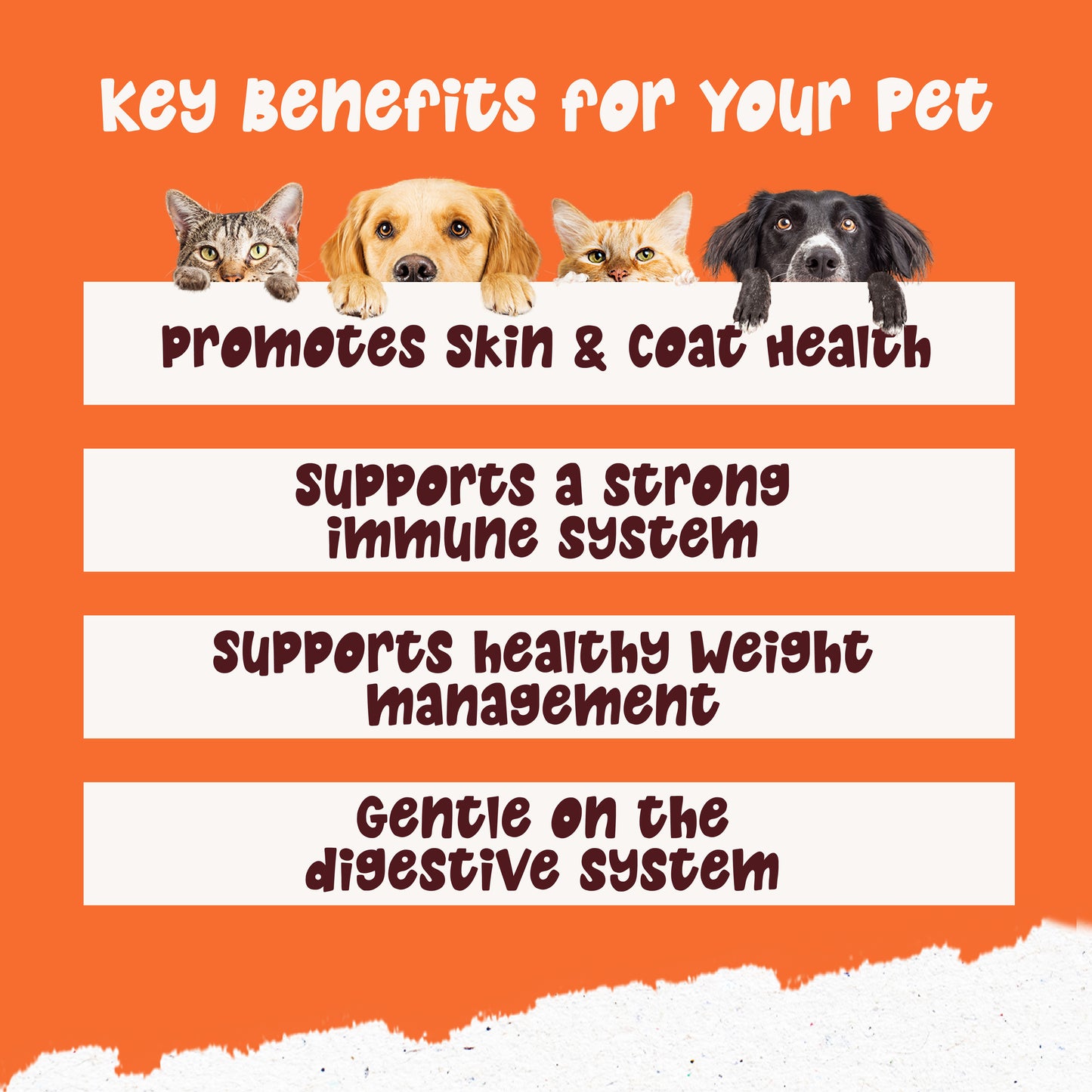 Wagging Tails Pumpkin Powder 250g