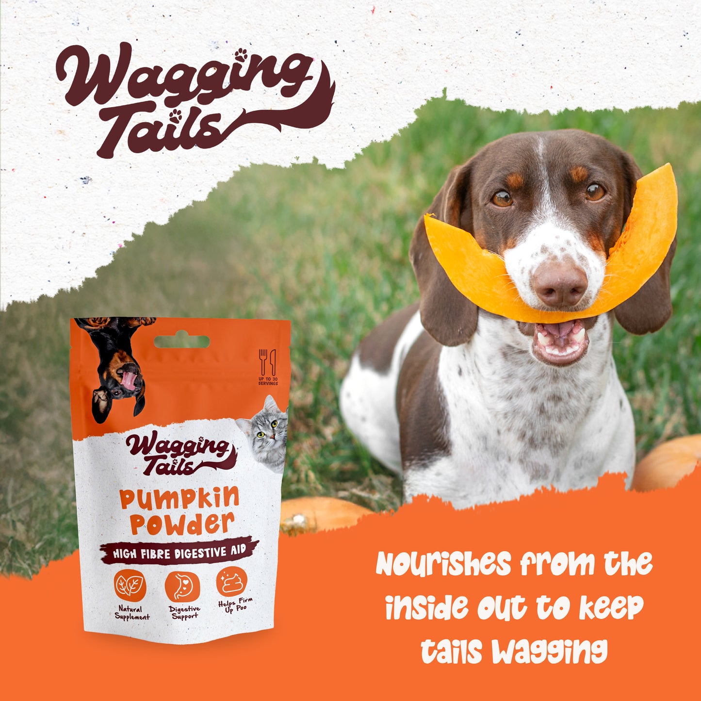 Wagging Tails Pumpkin Powder 250g