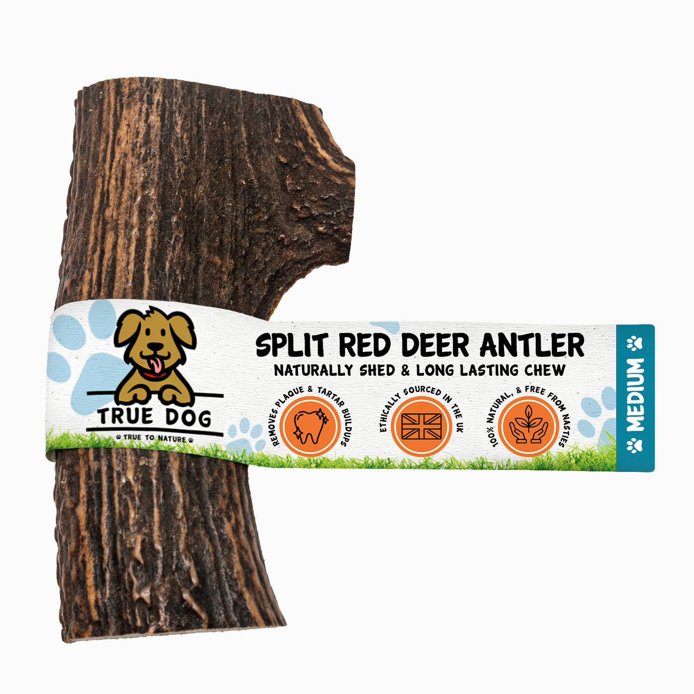 Deer Antlers - Split