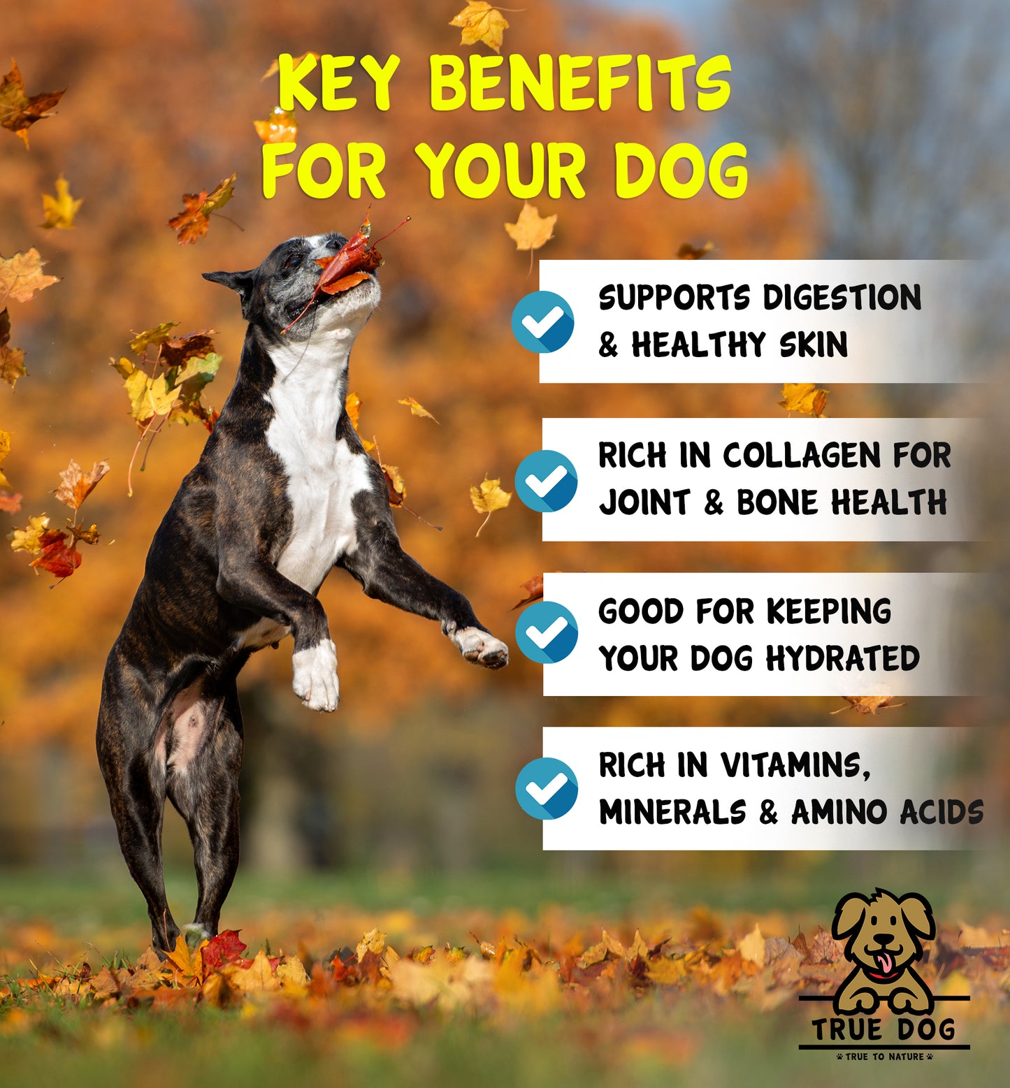 Beef Bone Broth