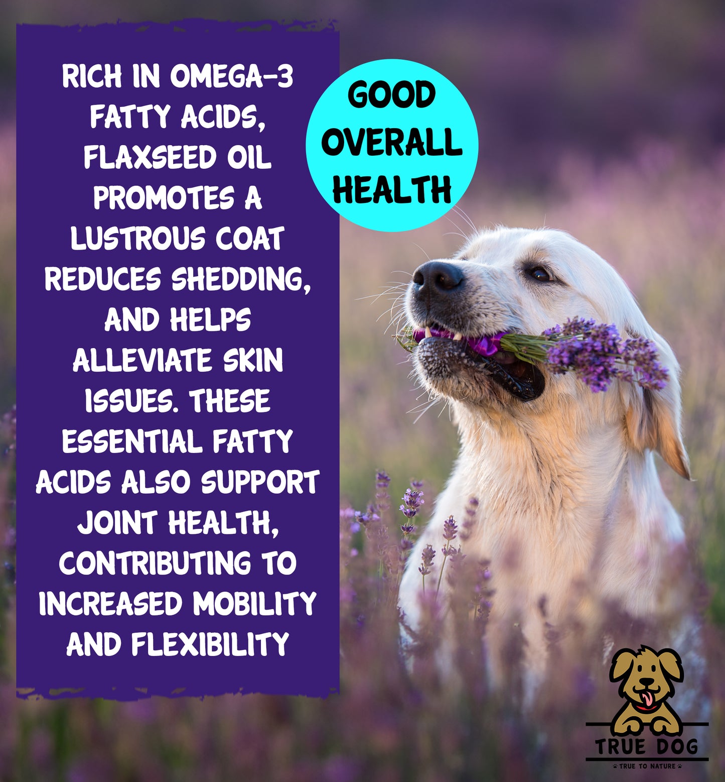 Flaxseed Oil