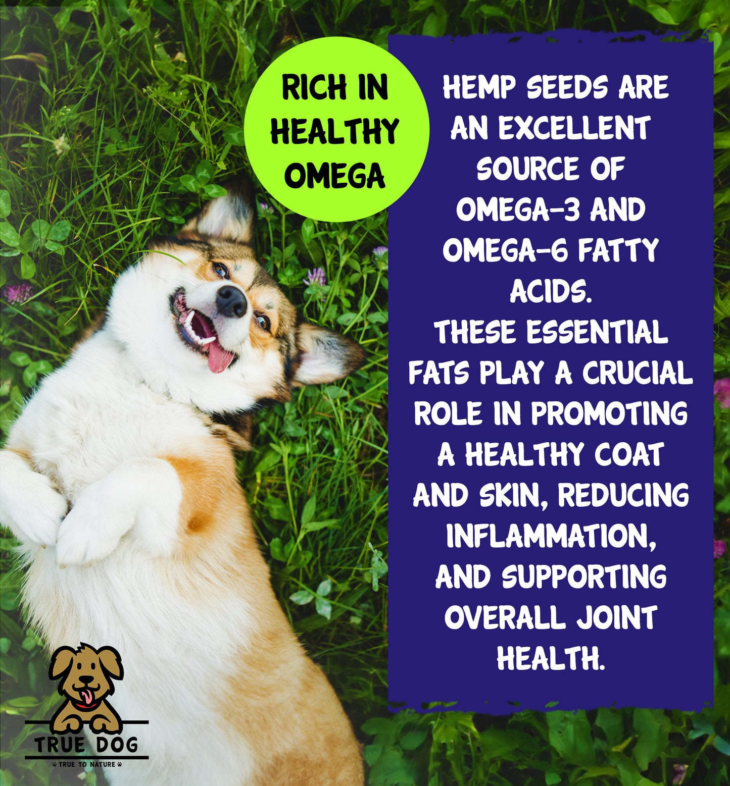 Hemp Oil