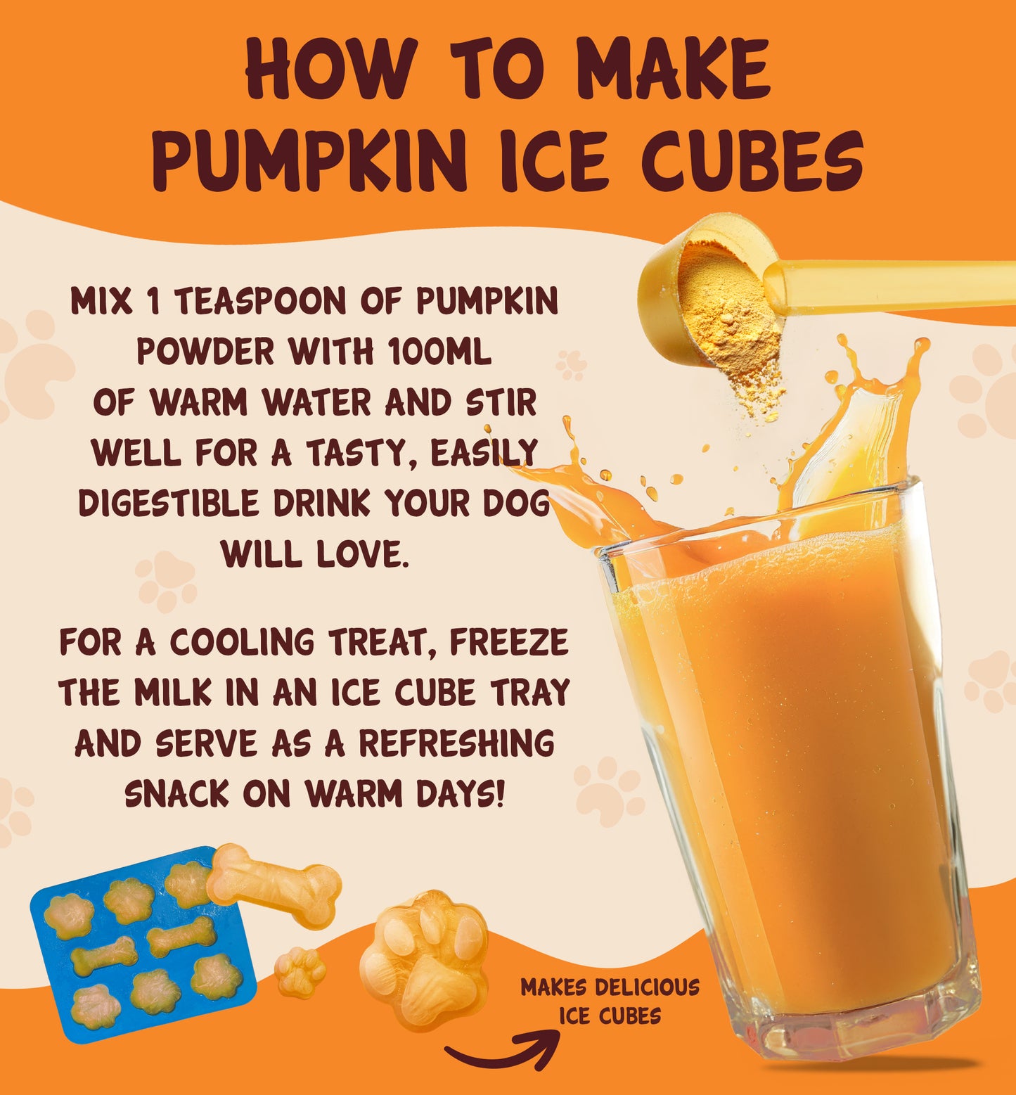 Pumpkin Powder 250g