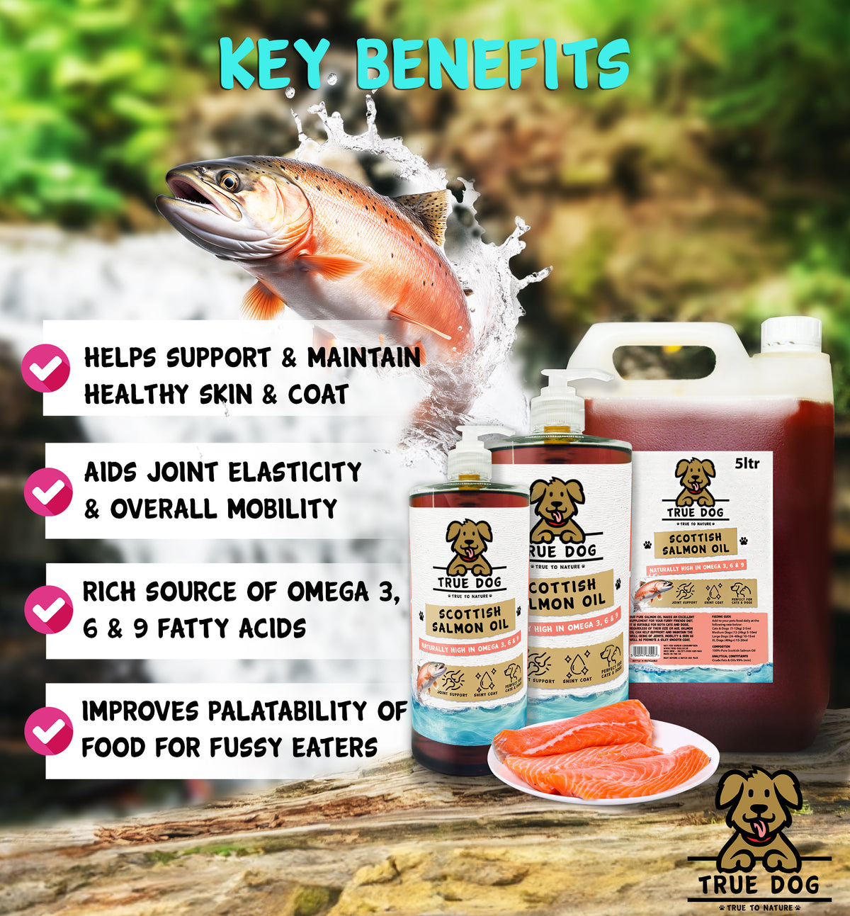 True Dog Scottish Salmon Oil Key Benefits graphic: supports healthy skin & coat, aids joints & mobility, source of omega 3, 6 & 9, improves palatability of food.
