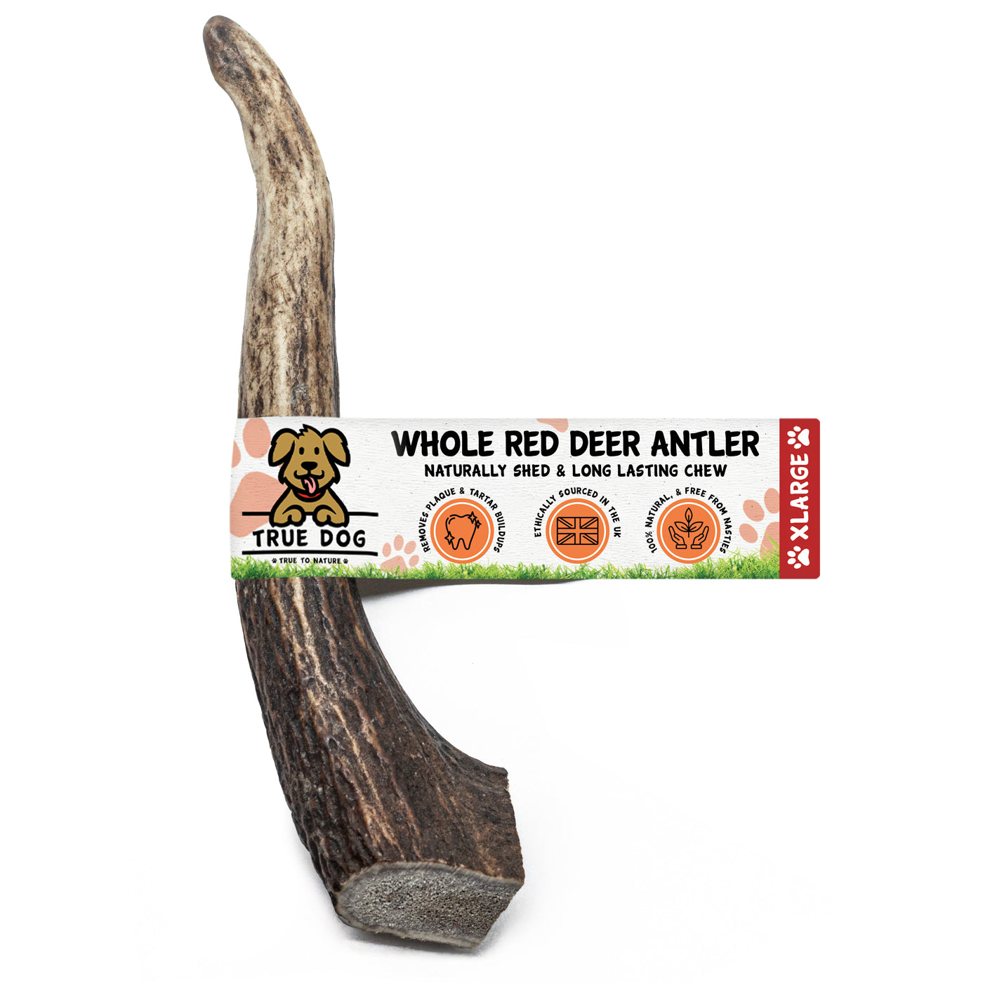 Deer Antlers - Whole