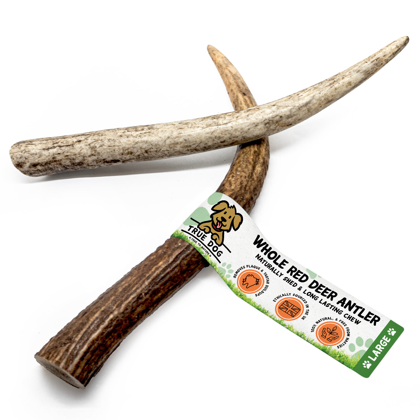 Deer Antlers - Whole
