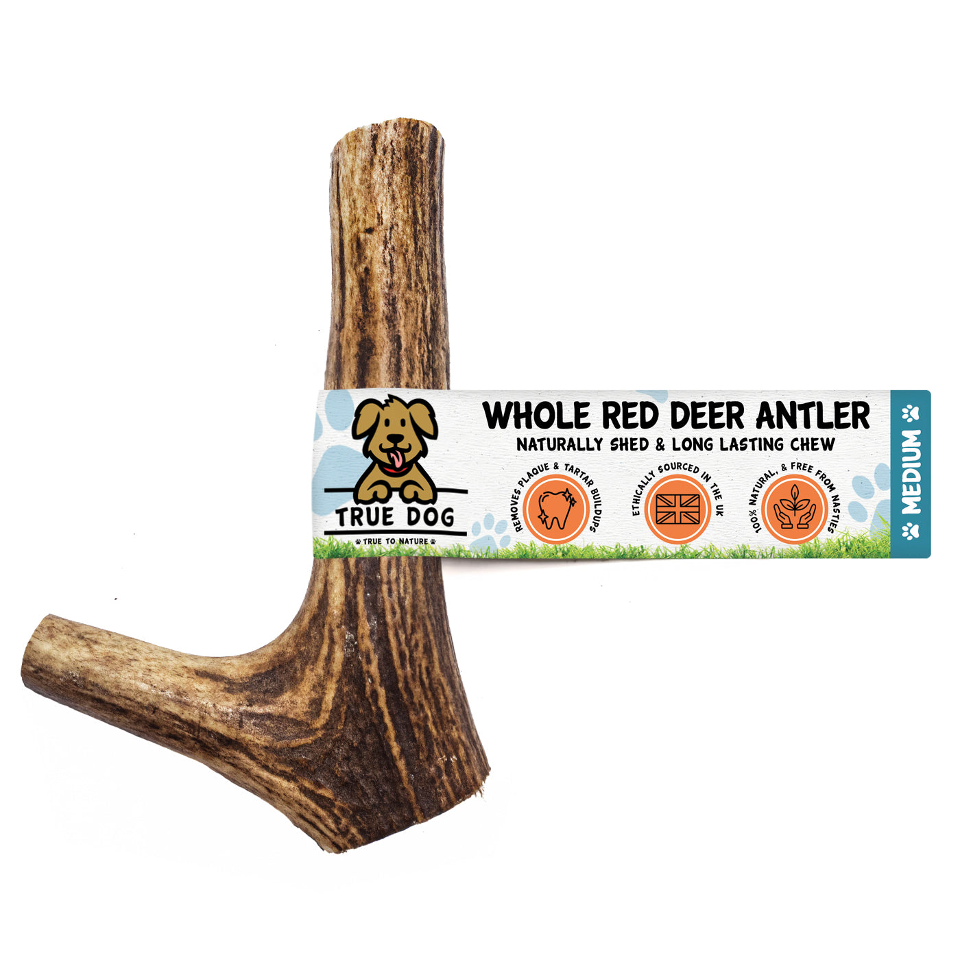 Deer Antlers - Whole