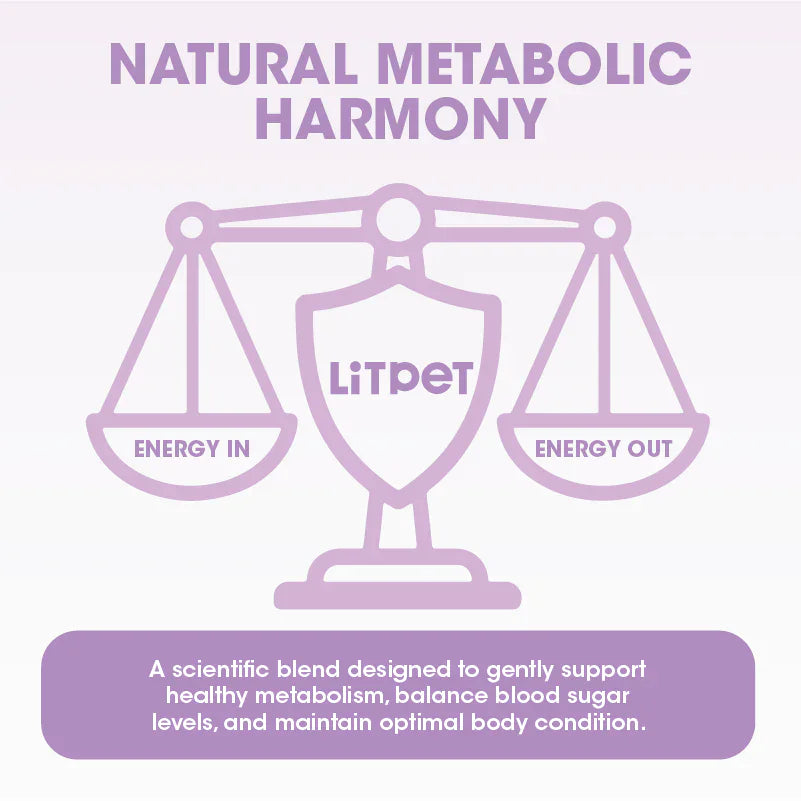 Natures Grub LitPet Body Balance - Weight and Wellness Support Powder 200g