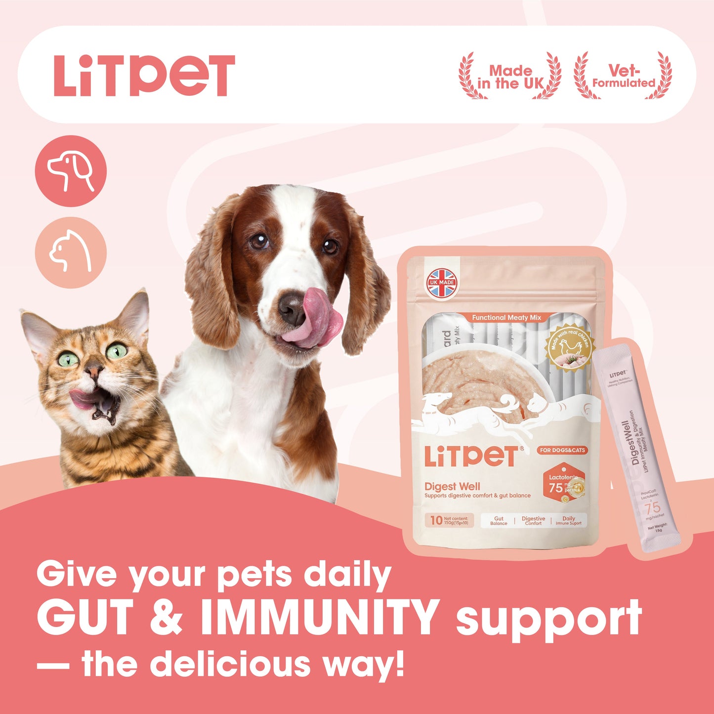LitPet Digest Well Meaty Mix Paste for Cats & Dogs - 10 Sachets