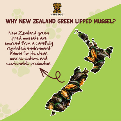 Green Lipped Mussel Powder 100g