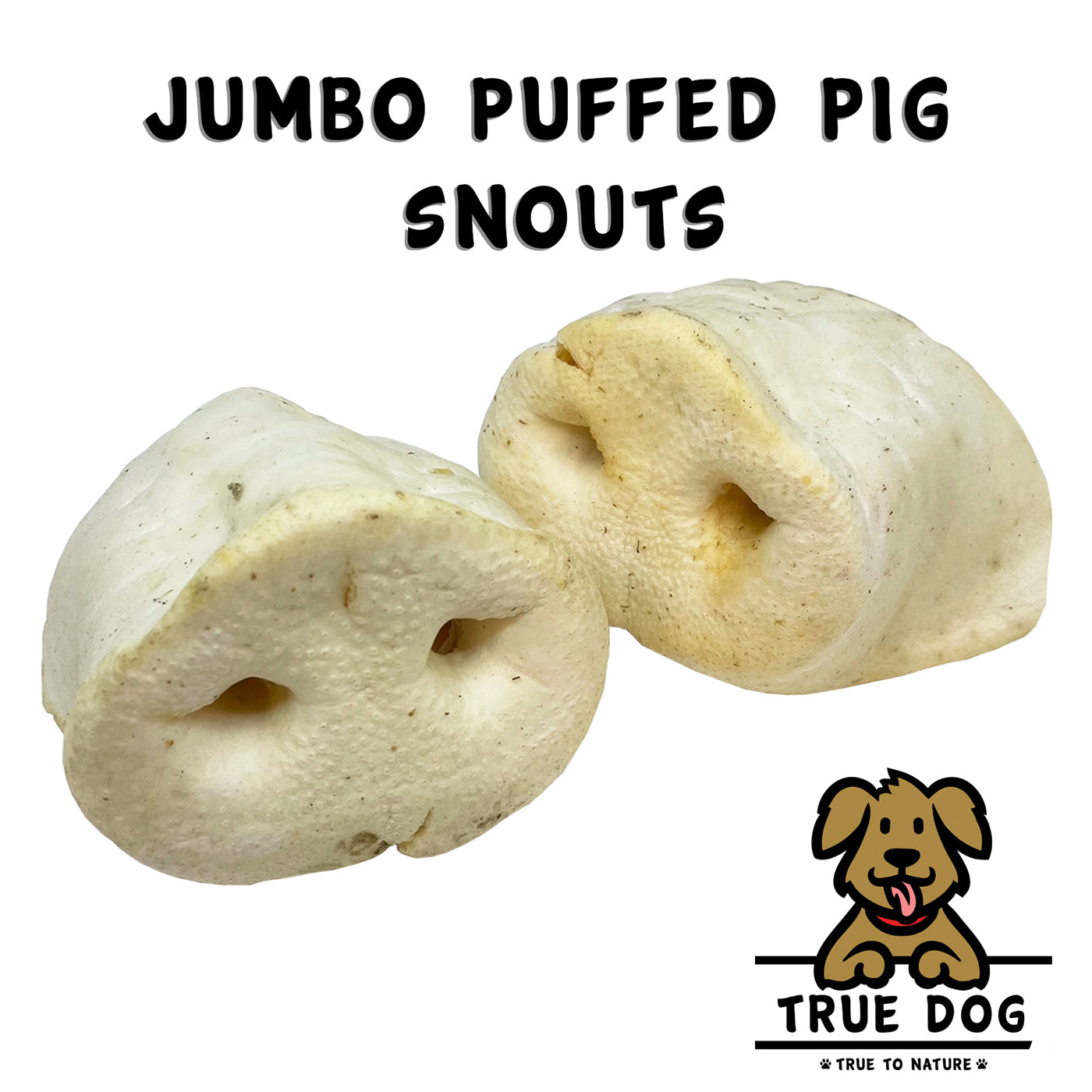 white puffed pigs snout