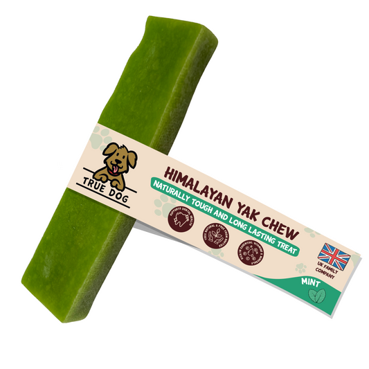 Yak Chew Medium - Mint