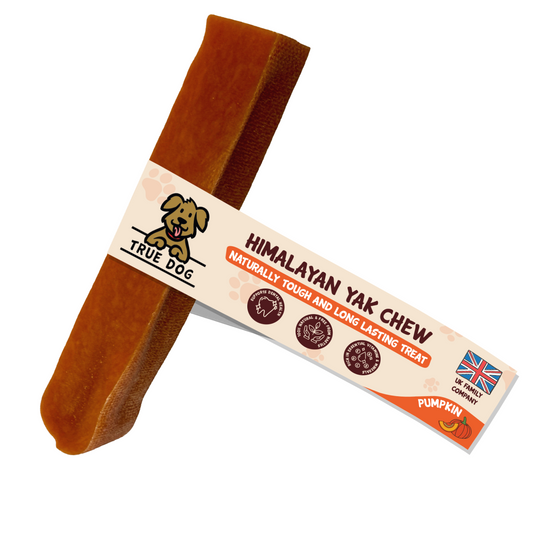 Yak Chew Medium - Pumpkin