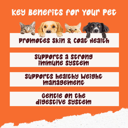 Wagging Tails Pumpkin Powder 250g