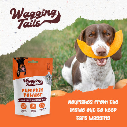Wagging Tails Pumpkin Powder 250g