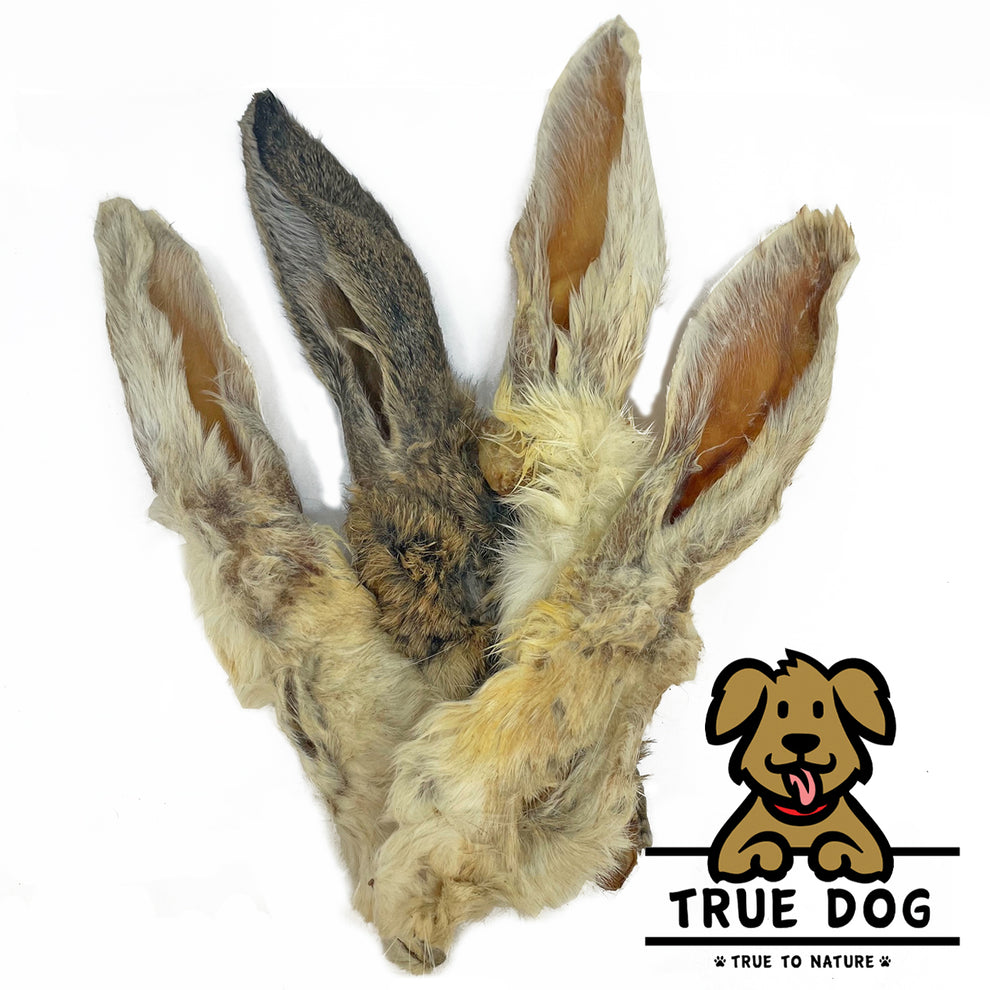 Dried Rabbit Ears with Fur | Natural Chew Treat, De-Wormer – True Dog UK