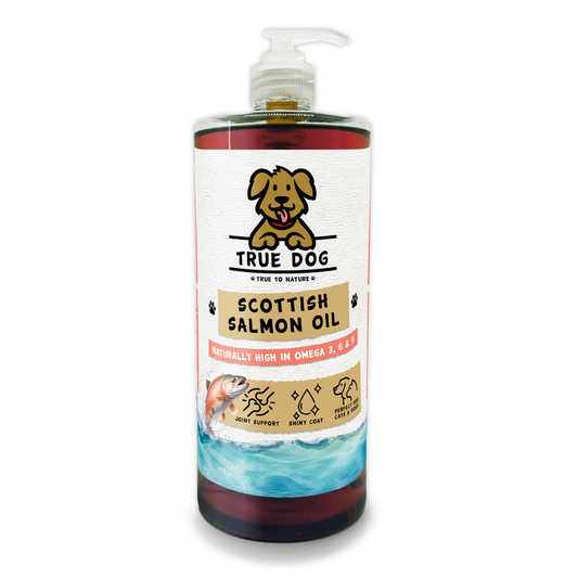 Salmon Oil