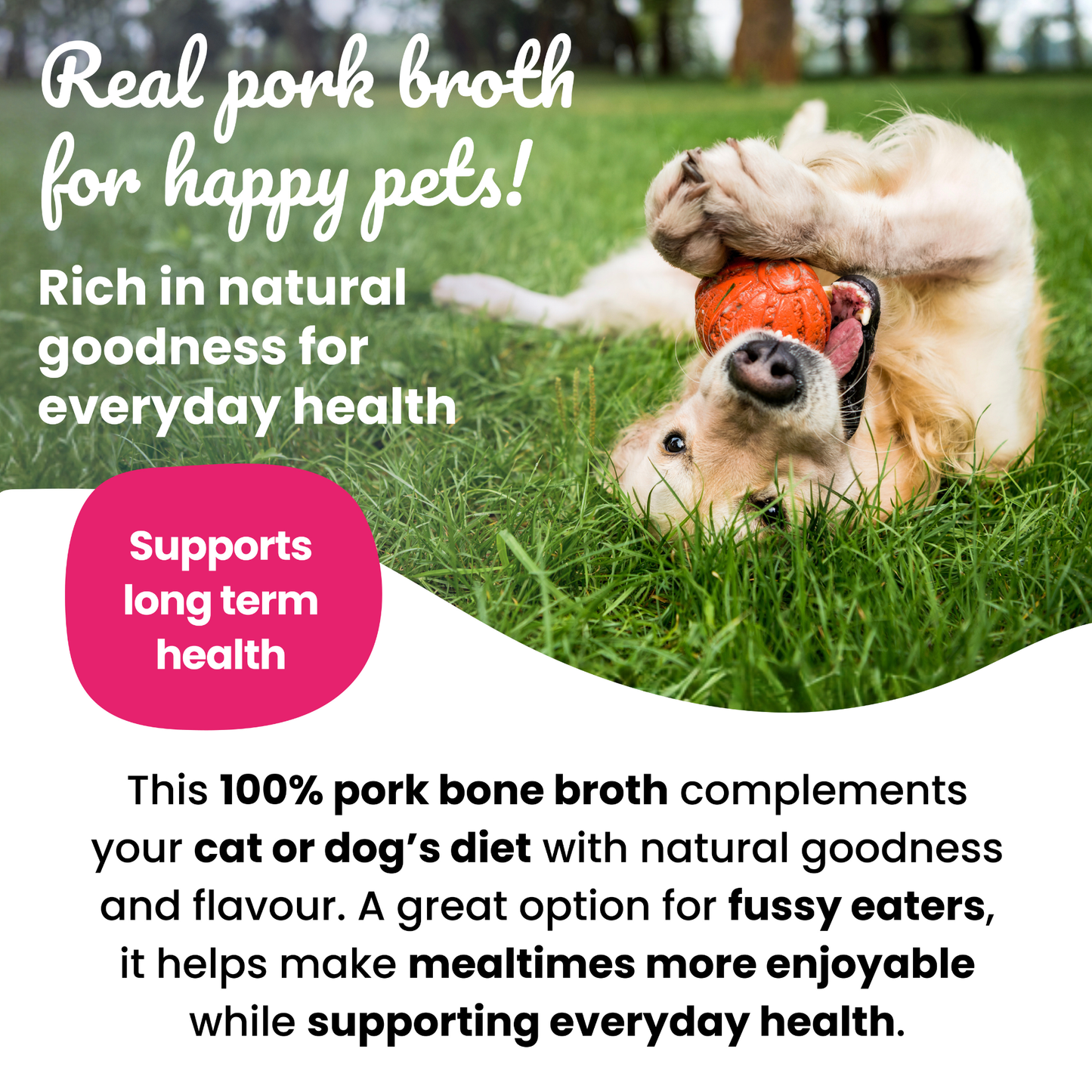 Slurpeez Bone Broth Powder 100% Pork 60g