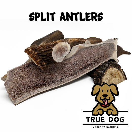 Deer Antlers - Split