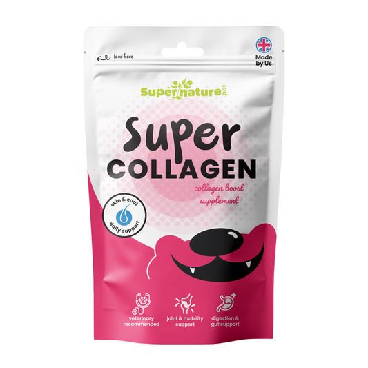 Supernature Super Collagen, collagen boost supplement for joint and mobility support for dogs and cats, in retail pouch, front view.