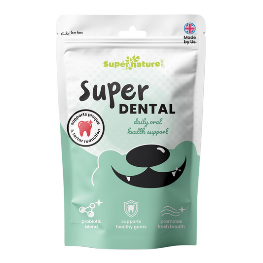 Supernature Super Dental, daily oral health support for dogs, in a resealable pouch, front view.