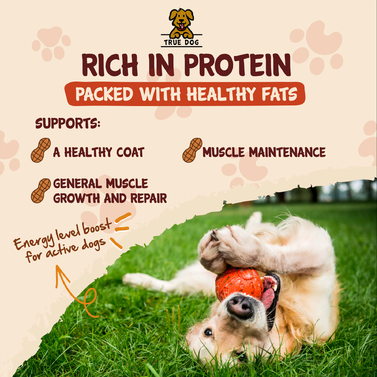 True Dog graphic: RIch in protein, packed with healthy fats. Supports a healthy coat, muscle maintenance, and general muscle growth and repair.