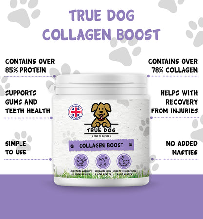 Collagen Boost 250g