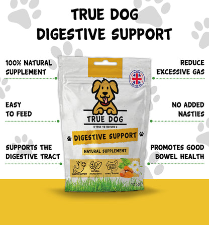 Natural Supplement - Digestive Support