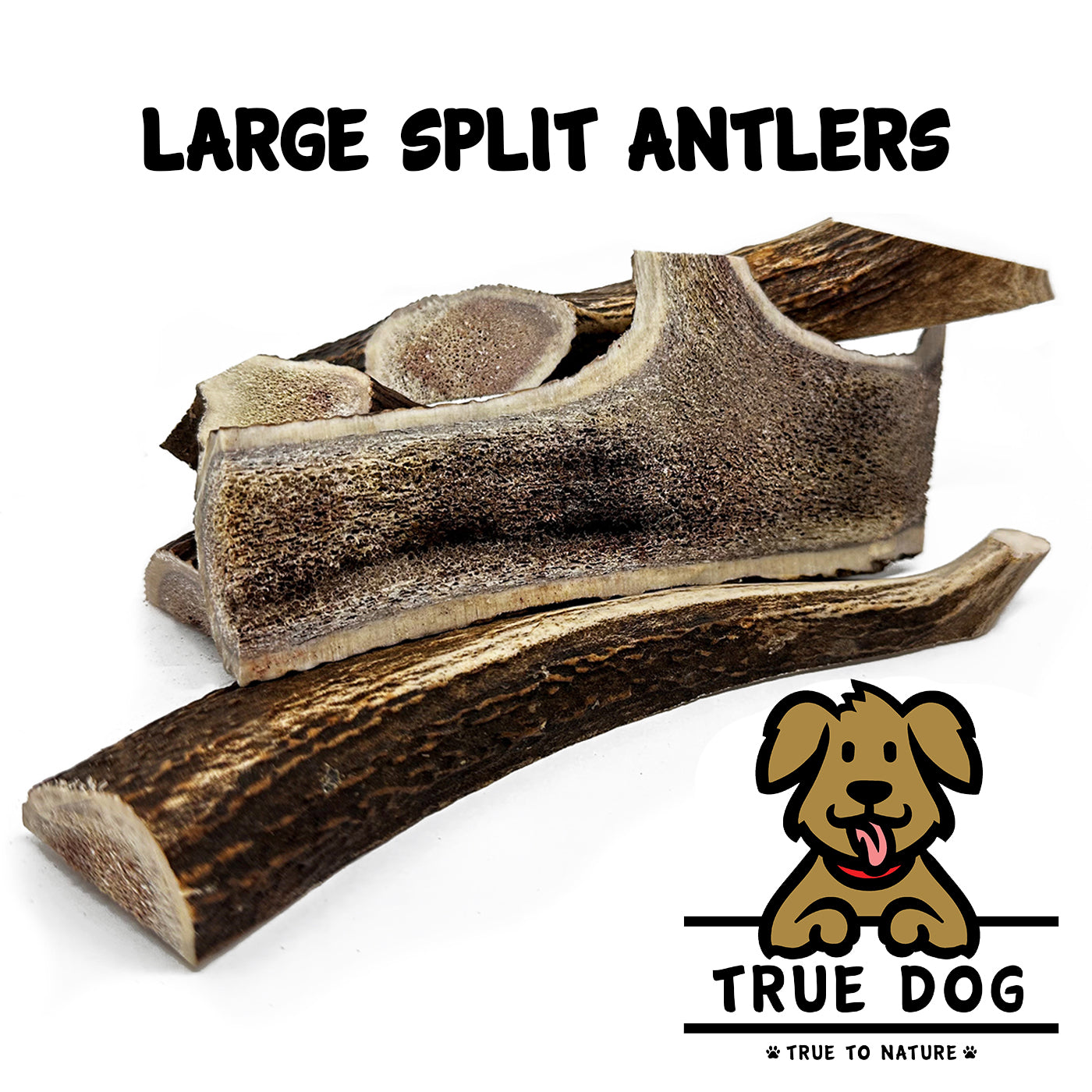 Deer Antlers - Split