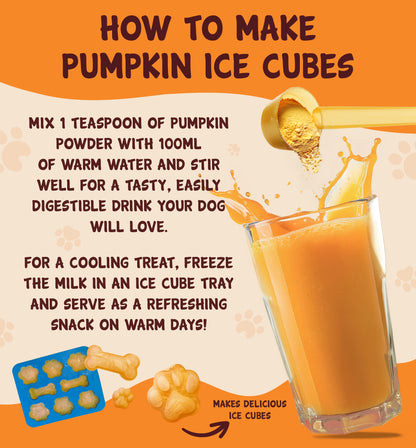 Pumpkin Powder 250g