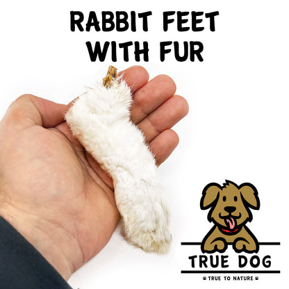 Rabbit Feet with Fur