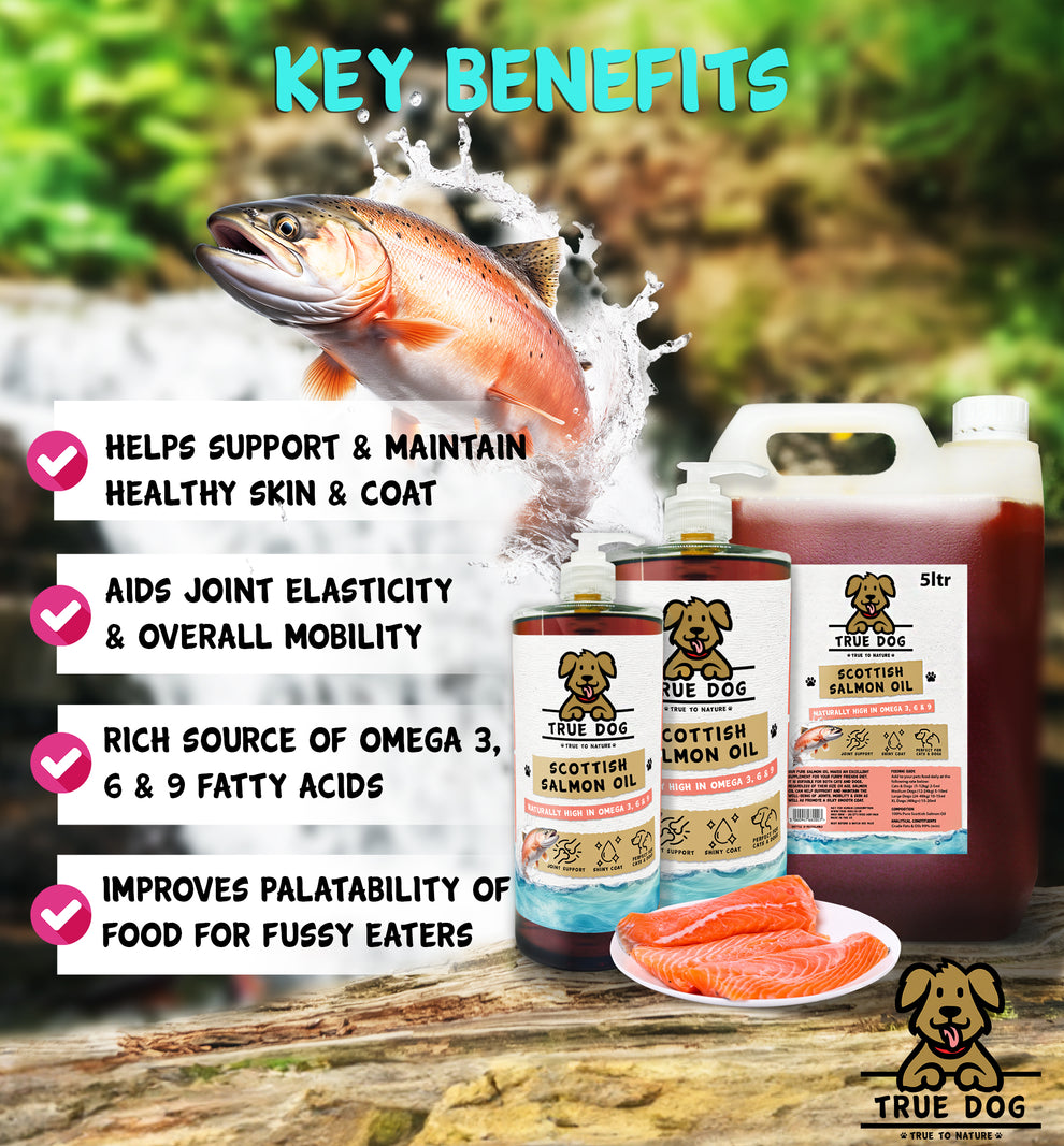 Salmon Oil for Dogs | Omega 3 Supplement | Skin Health – True Dog UK