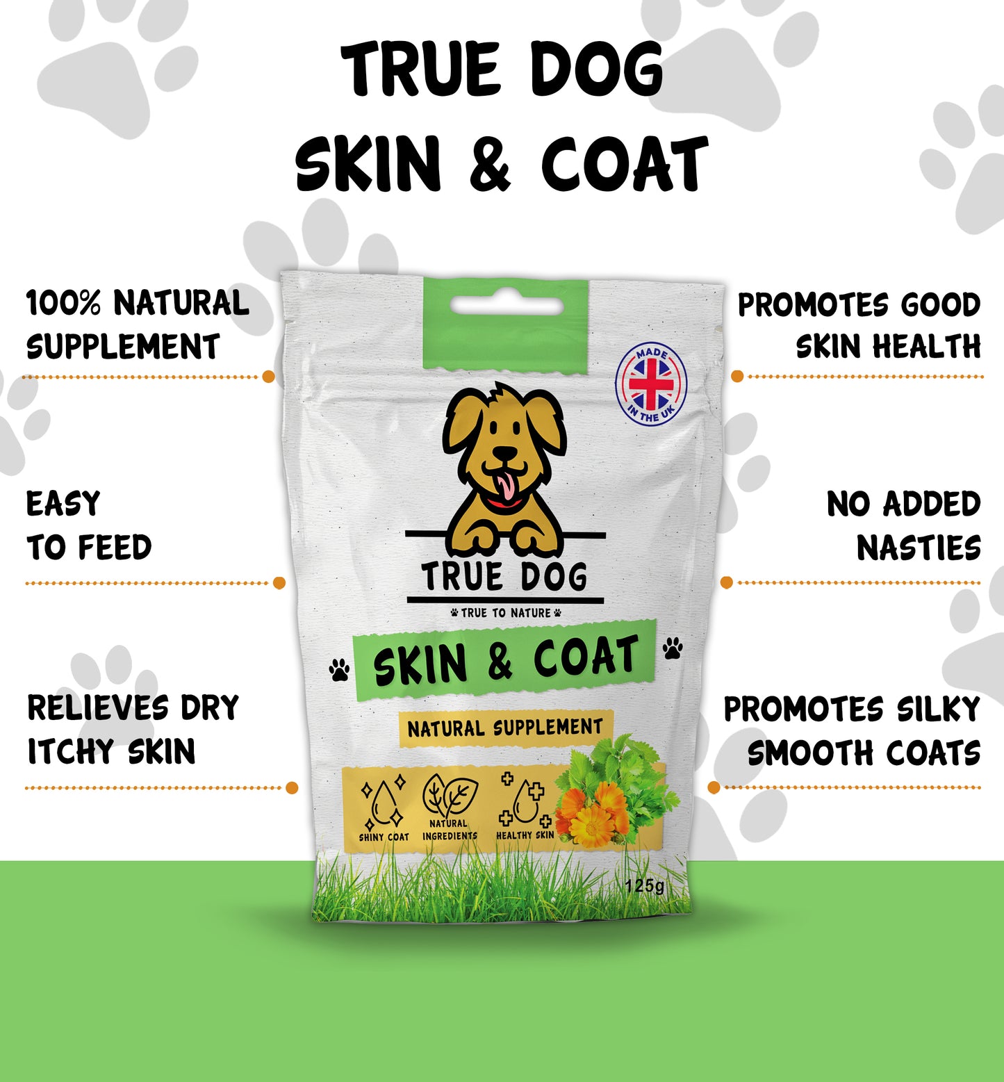 Natural Supplement - Skin & Coat