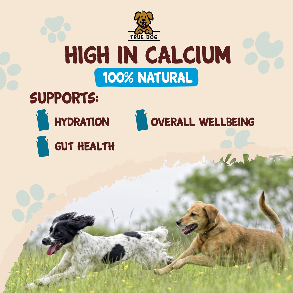 Goats Milk Powder 100g