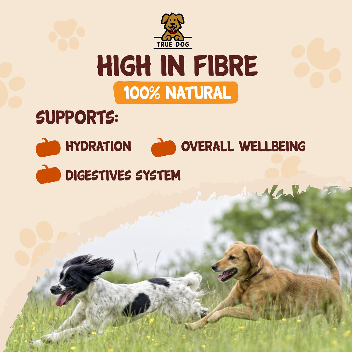 True Dog graphic: High in fibre, 100% natural, supports hydration, overall wellbeing, and digestive system.