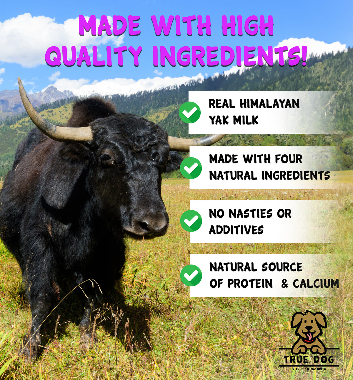 Himalayan Yak Chew - Mint Flavour
