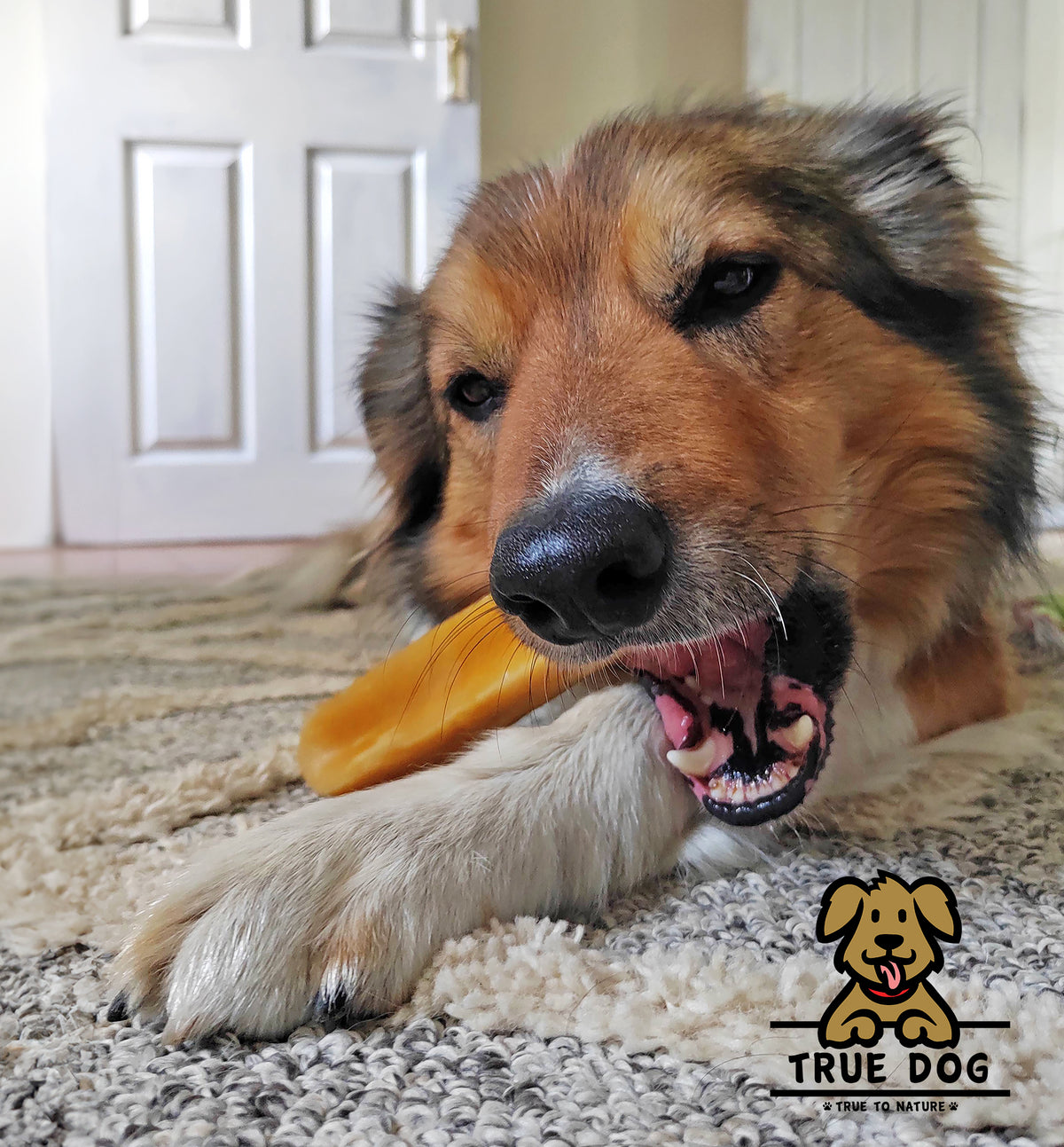 Himalayan Yak Chew - Mint Flavour