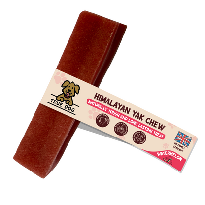 True Dog Himalayan Yak Chew Watermelon, a naturally tough and long lasting treat for dogs. 