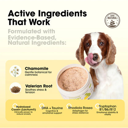 LitPet Pawsitive Powder - Calming & Stress Relief Support 200g