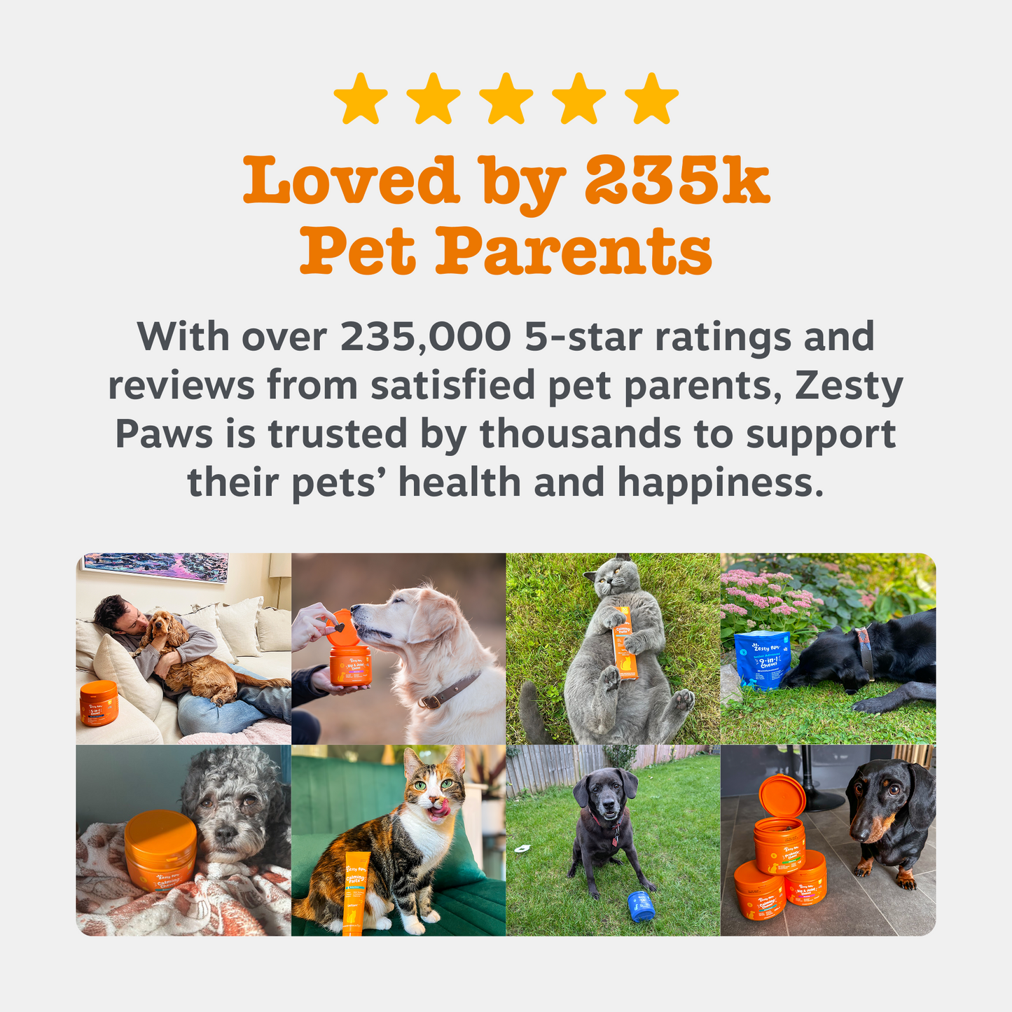 Natures Grub 250ml Zesty Paws Hip & Joint Salmon Oil 250ml
