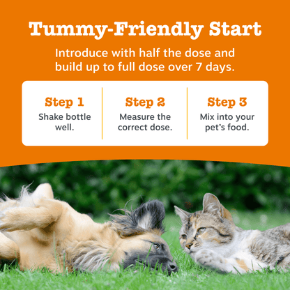 Natures Grub 250ml Zesty Paws Hip & Joint Salmon Oil 250ml