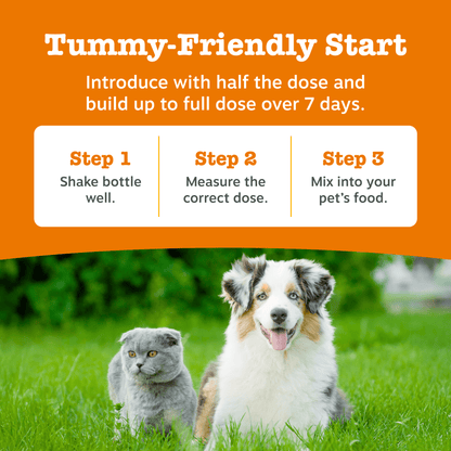 Natures Grub 250ml Zesty Paws Skin & Coat Salmon Oil 250ml