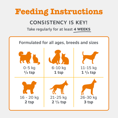 Natures Grub 250ml Zesty Paws Skin & Coat Salmon Oil 250ml