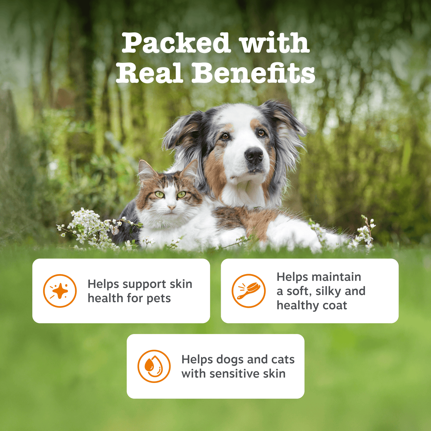Natures Grub 250ml Zesty Paws Skin & Coat Salmon Oil 250ml