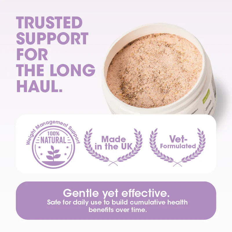 Natures Grub LitPet Body Balance - Weight and Wellness Support Powder 200g