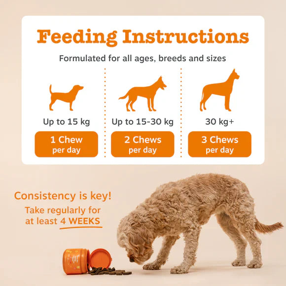 Zesty Paws Scoot Away Anal Gland Support Chews